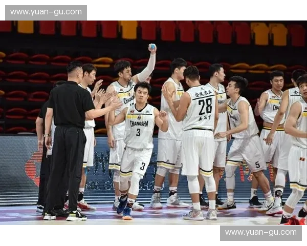 深度解析NBA与CBA在竞技水平运营模式与球员培养体系上的全面差异